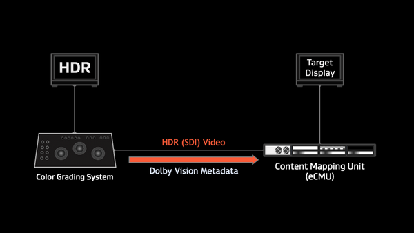 Dolby Vision eCMU License